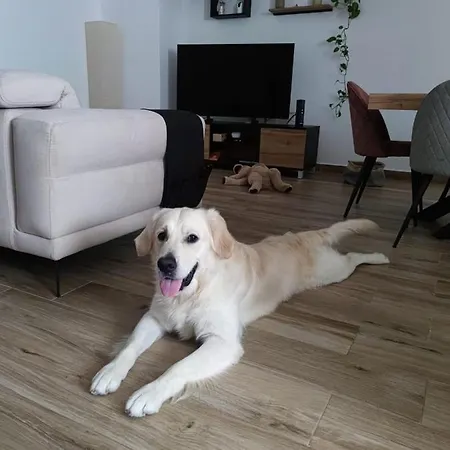 Stanza A Saint Paul Bay * St. Paul's Bay