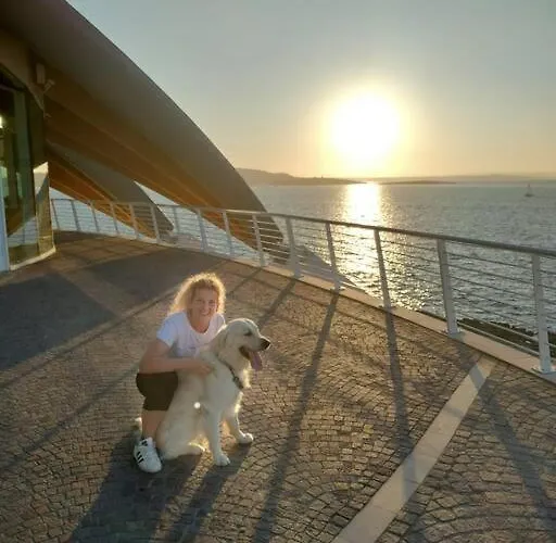 Stanza A Saint Paul Bay St. Paul's Bay