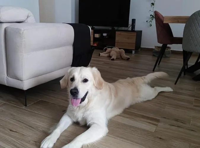 Stanza A Saint Paul Bay * St. Paul's Bay